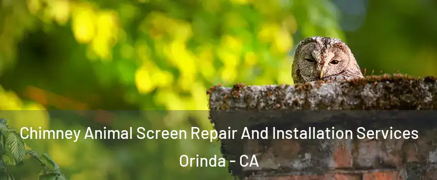  Chimney Animal Screen Repair And Installation Services Orinda - CA