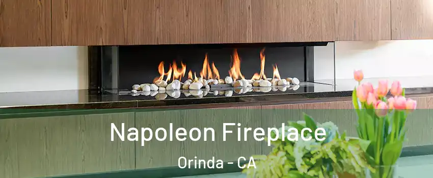  Napoleon Fireplace Orinda - CA